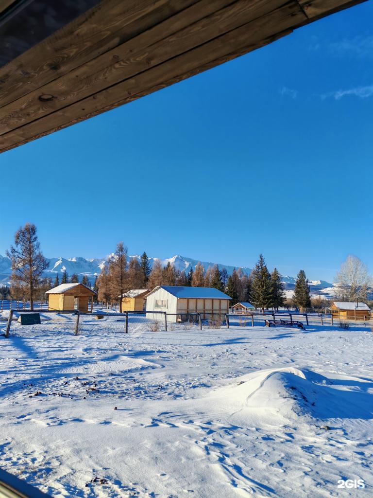 Теленгит - фото 3