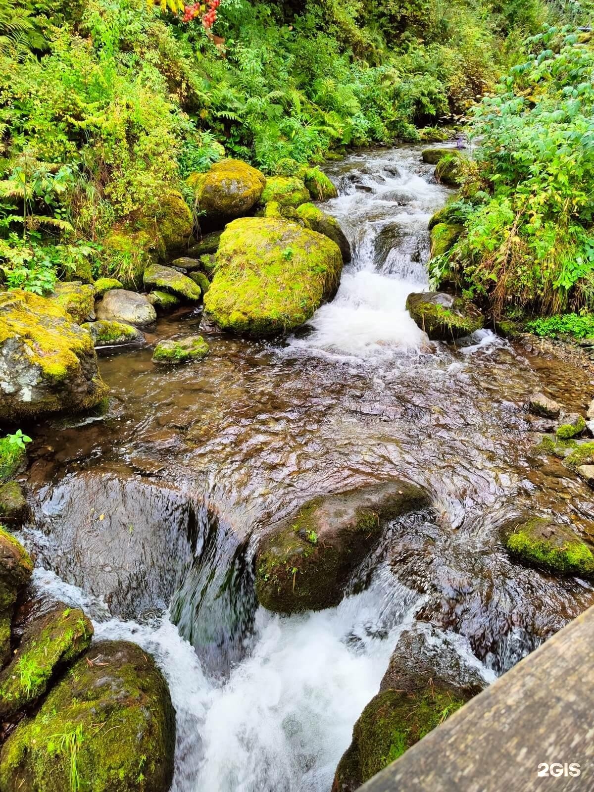 Ойер Парк - фото 43