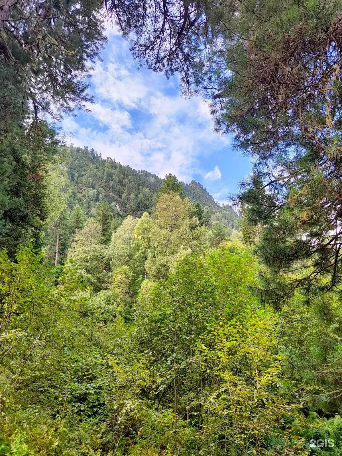 Ойер Парк - фото 53