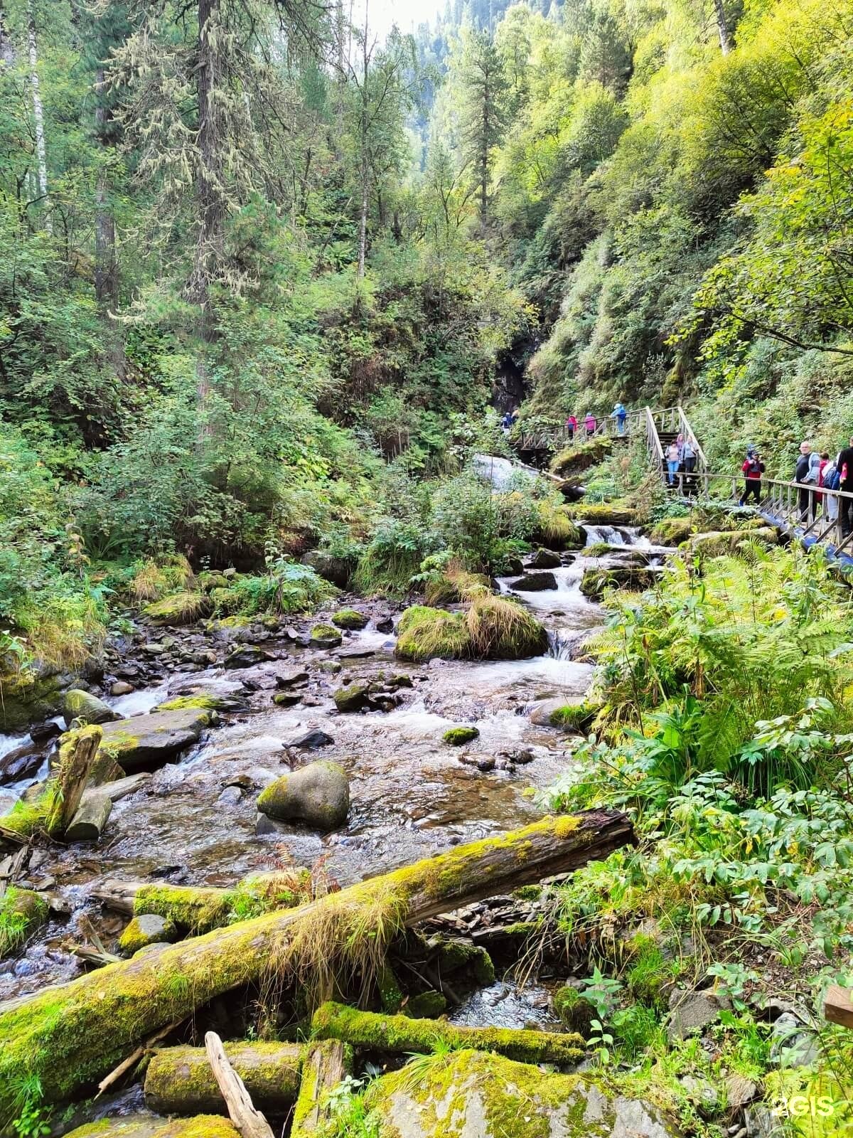 Ойер Парк - фото 58