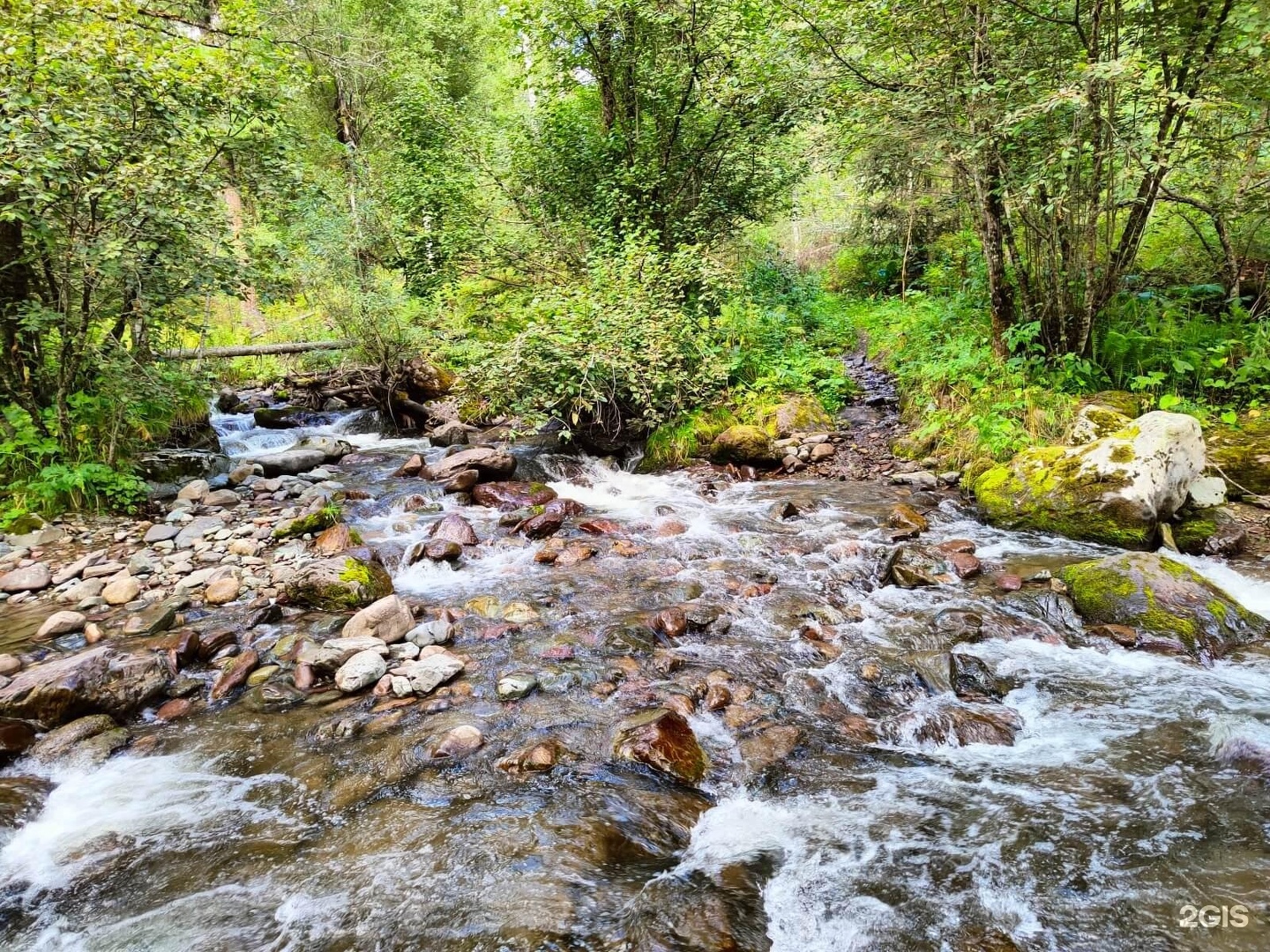 Ойер Парк - фото 64