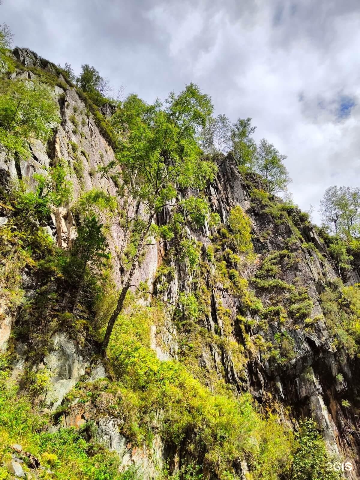 Ойер Парк - фото 75