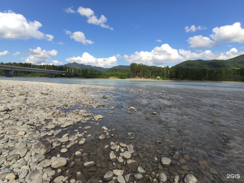 Над Лесом - фото 6