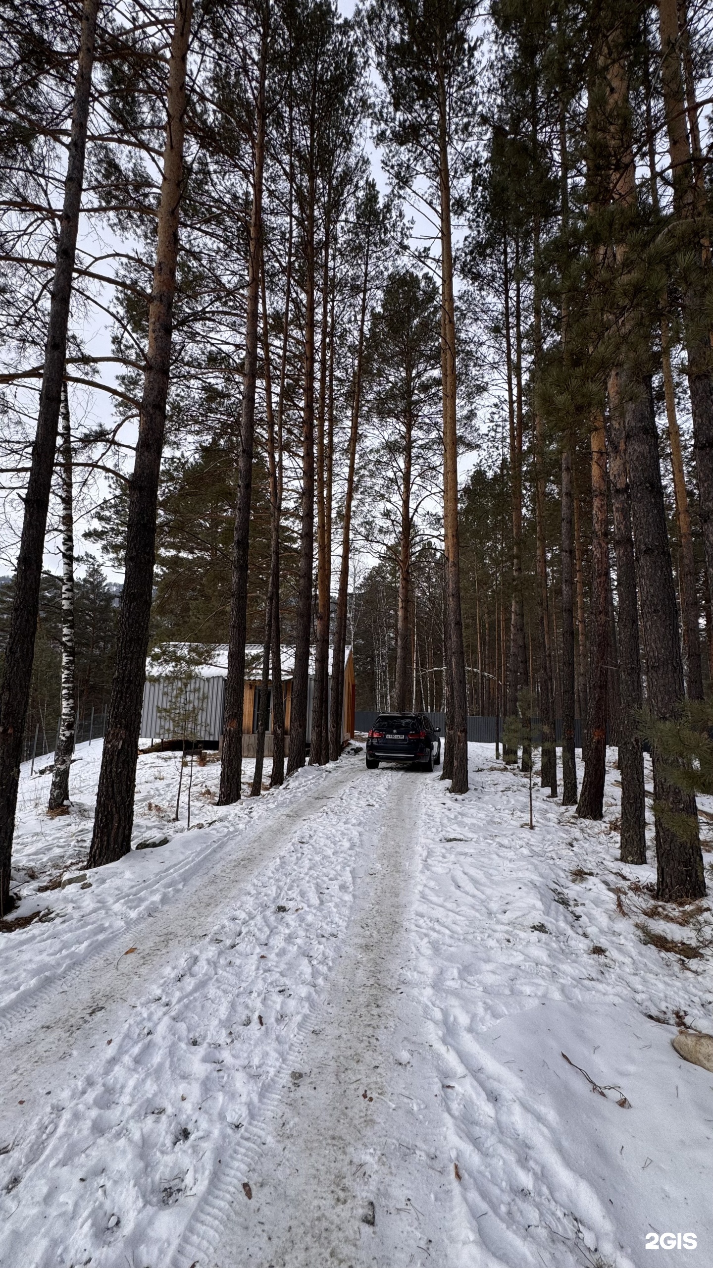 Над Лесом - фото 20
