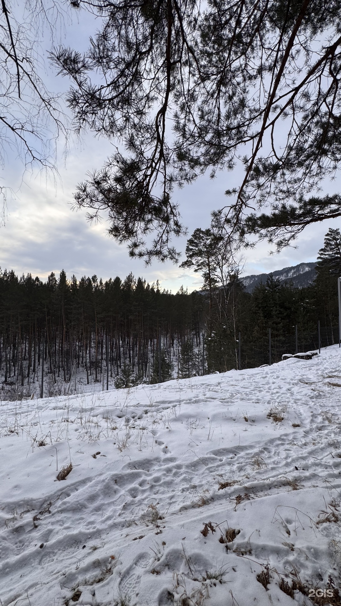 Над Лесом - фото 21