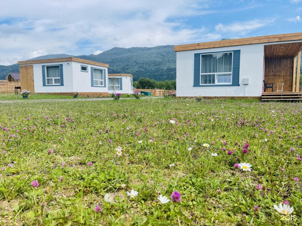 Зависть - фото 10