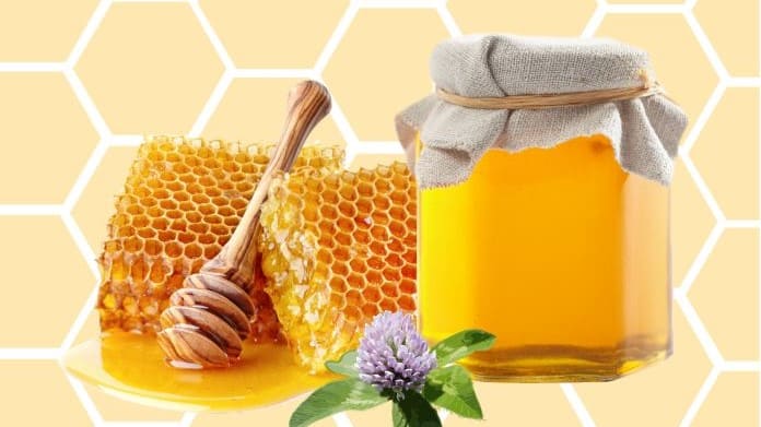 22 августа | ХII Фестиваль меда «Золотая пчёлка Горного Алтая»