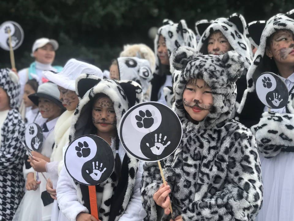 30 мая | Фестиваль снежного барса