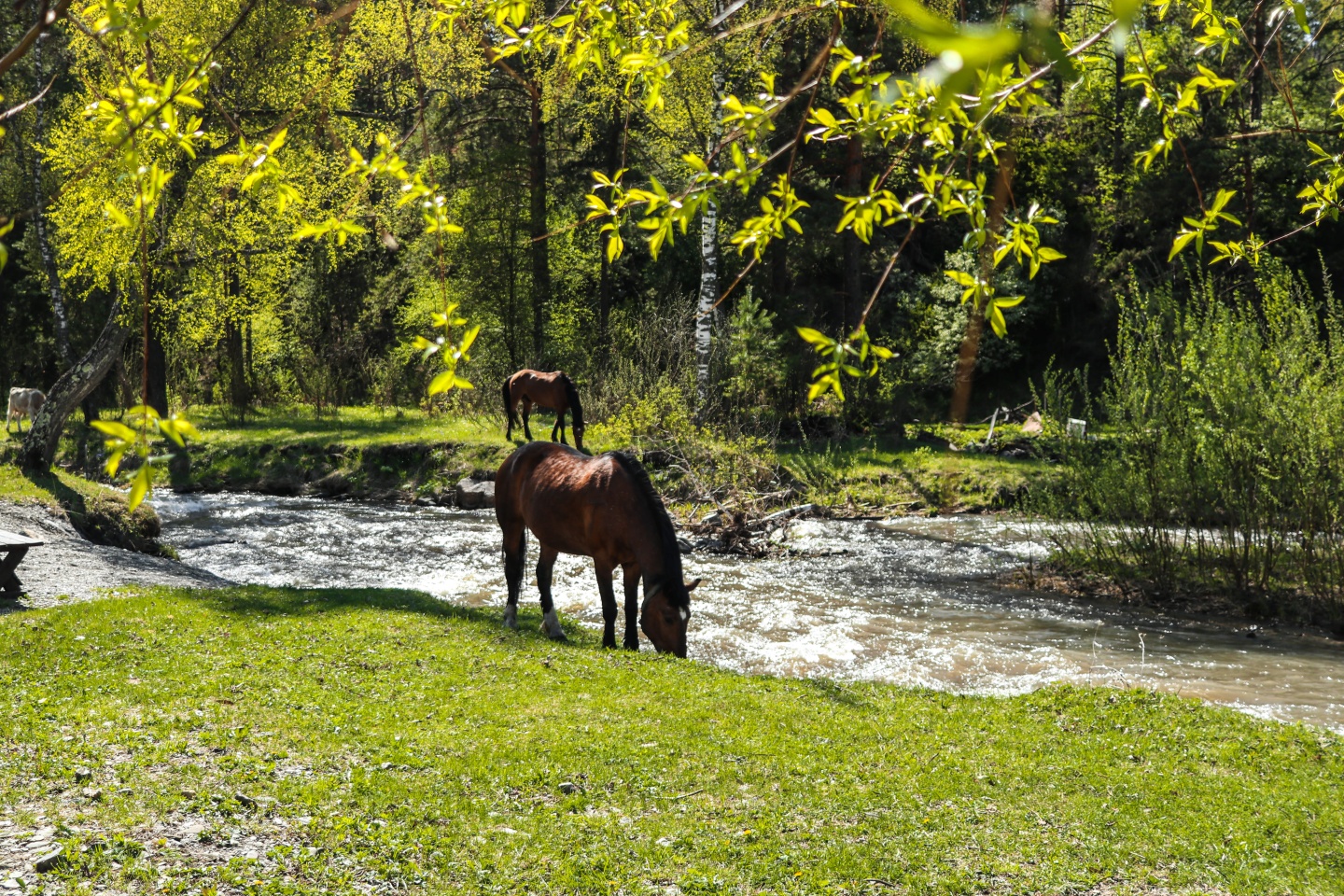 Айбарка - фото 27