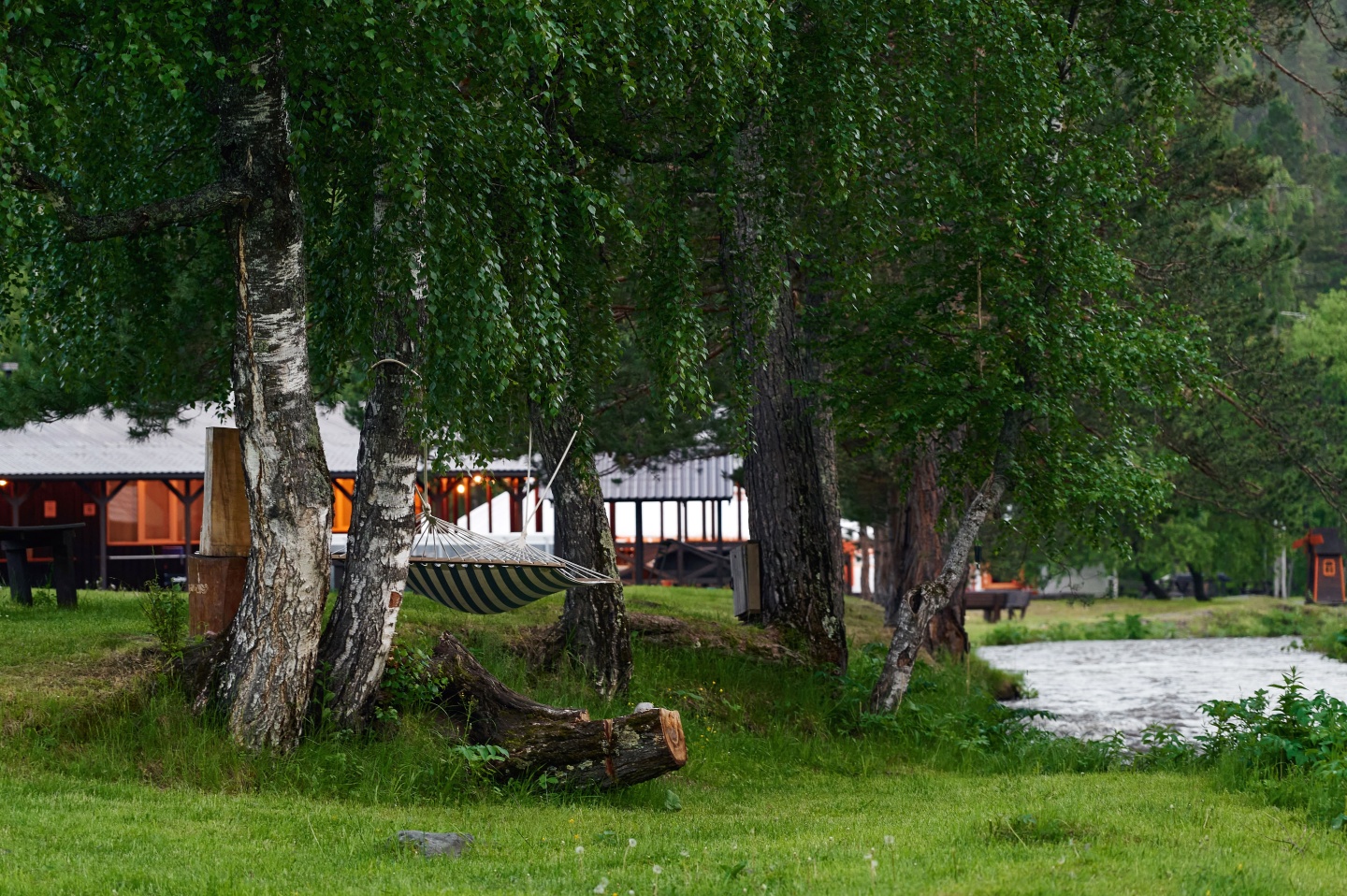 Айбарка - фото 40