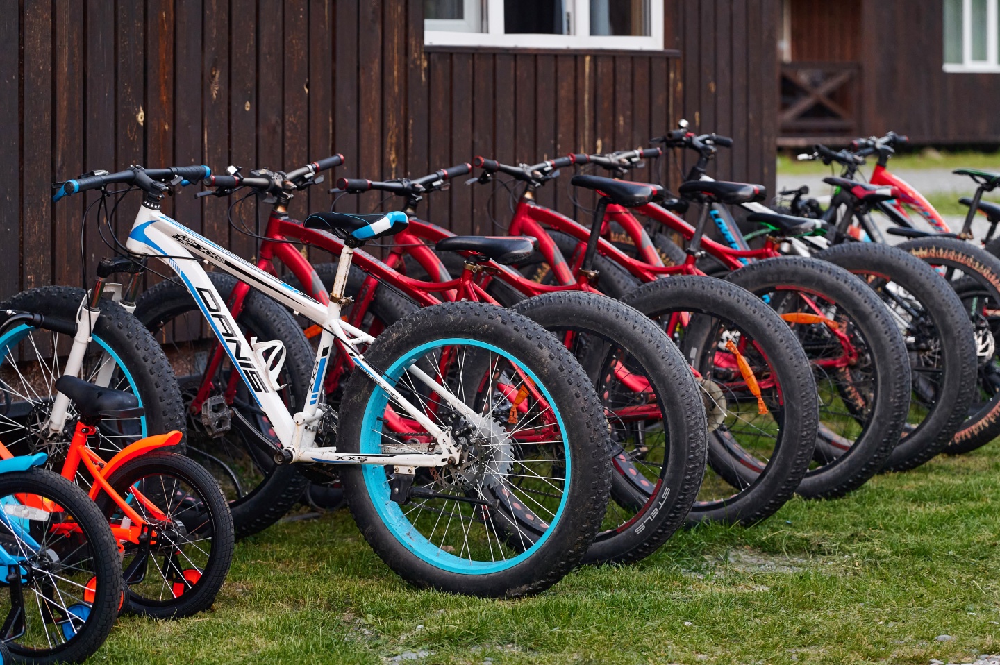 Айбарка - фото 48