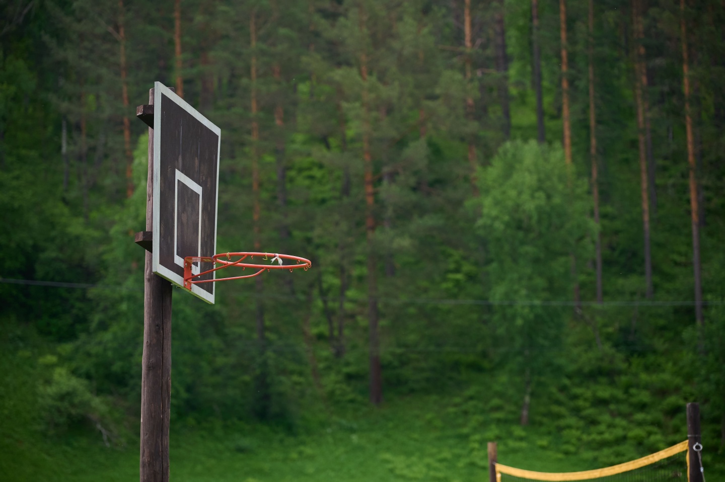 Айбарка - фото 53