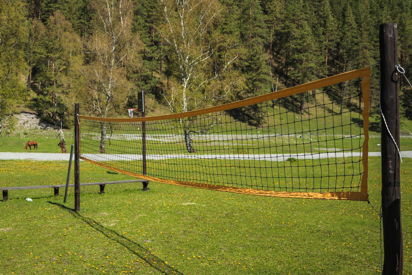 Айбарка - фото 88