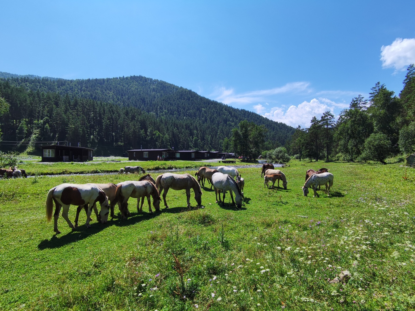 Айбарка - фото 97
