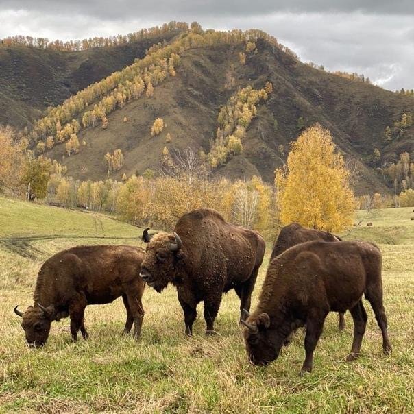 Geometrika • lounge hotel - фото 91