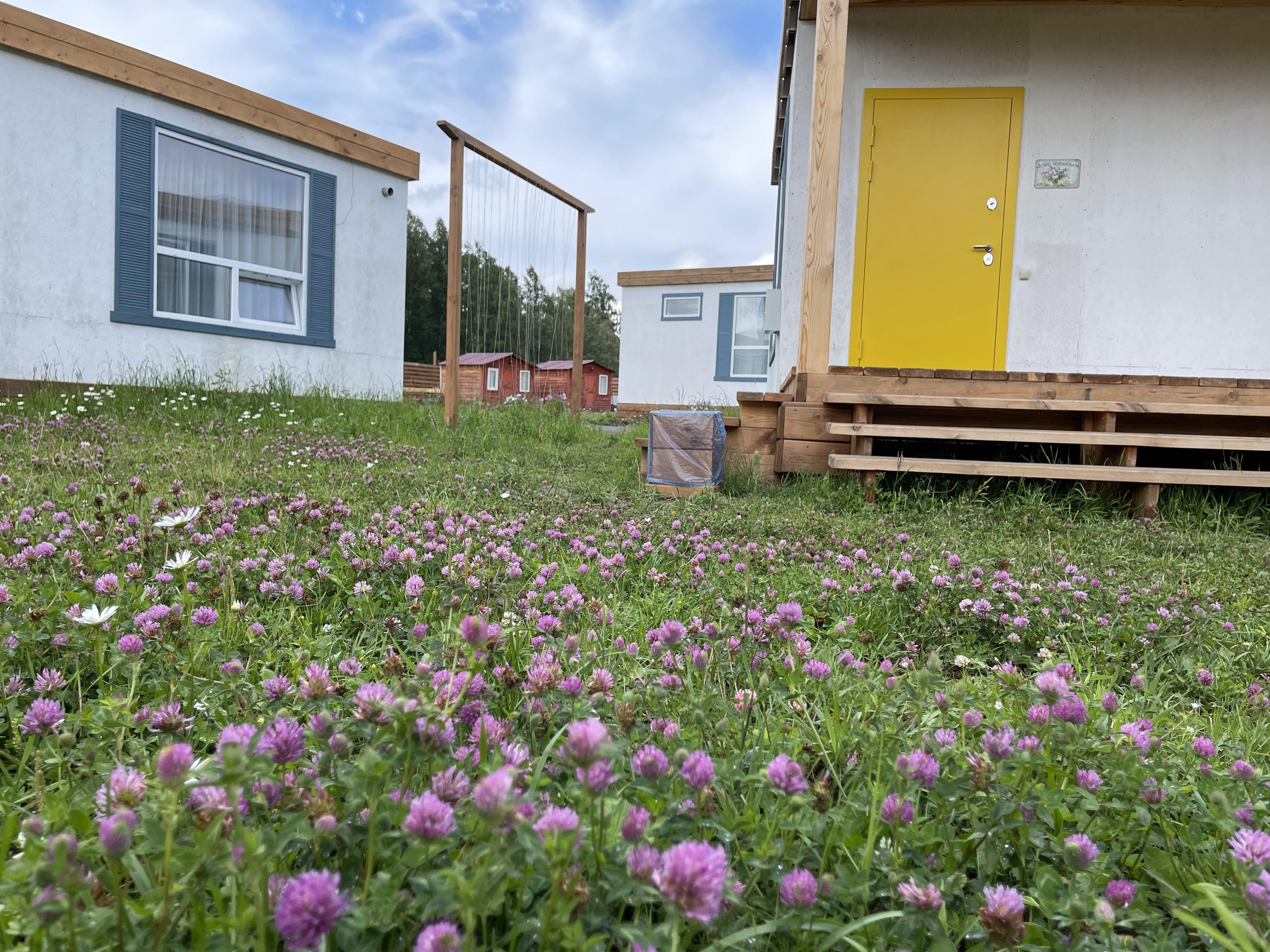 Зависть - фото 26