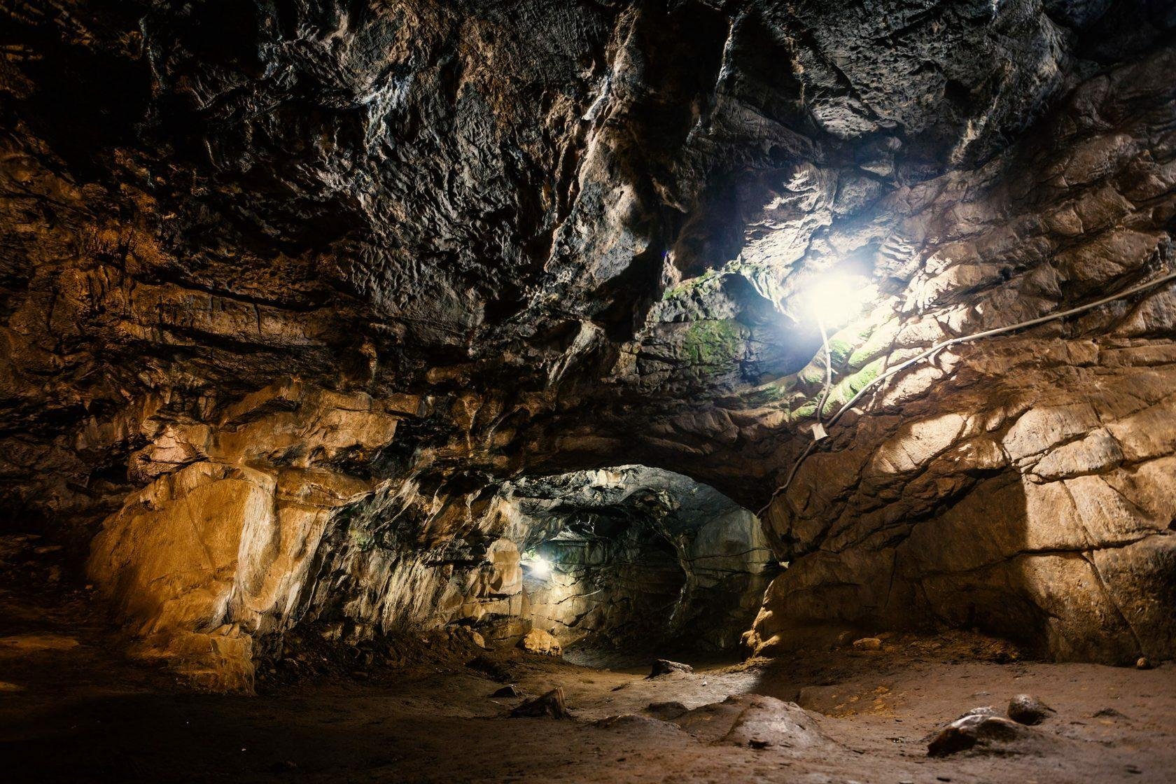 Зависть - фото 49