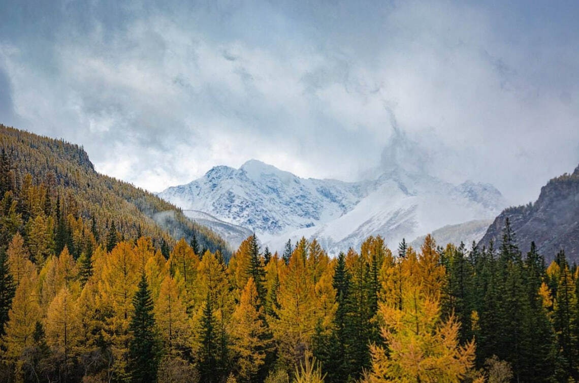 Финские дачи - фото 32