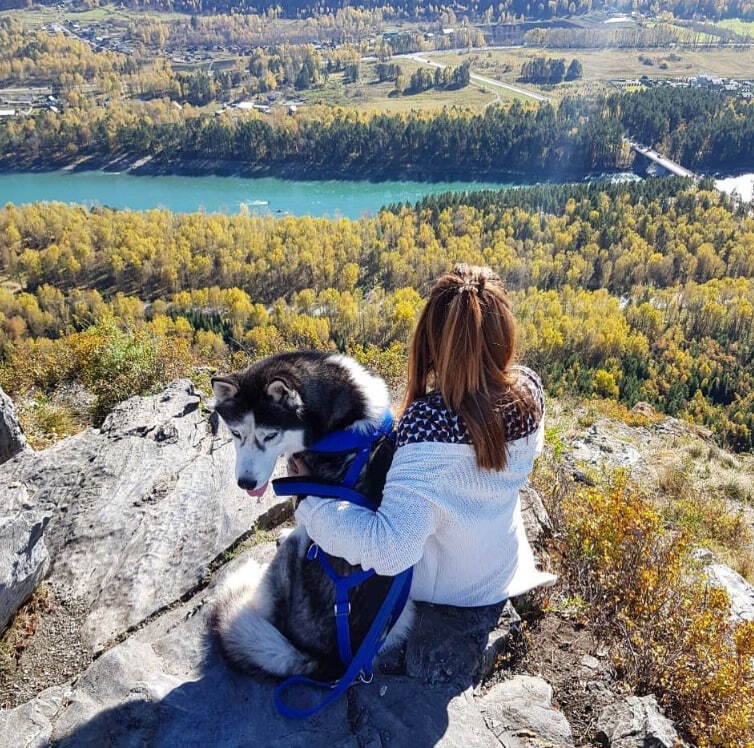 Финские дачи - фото 94