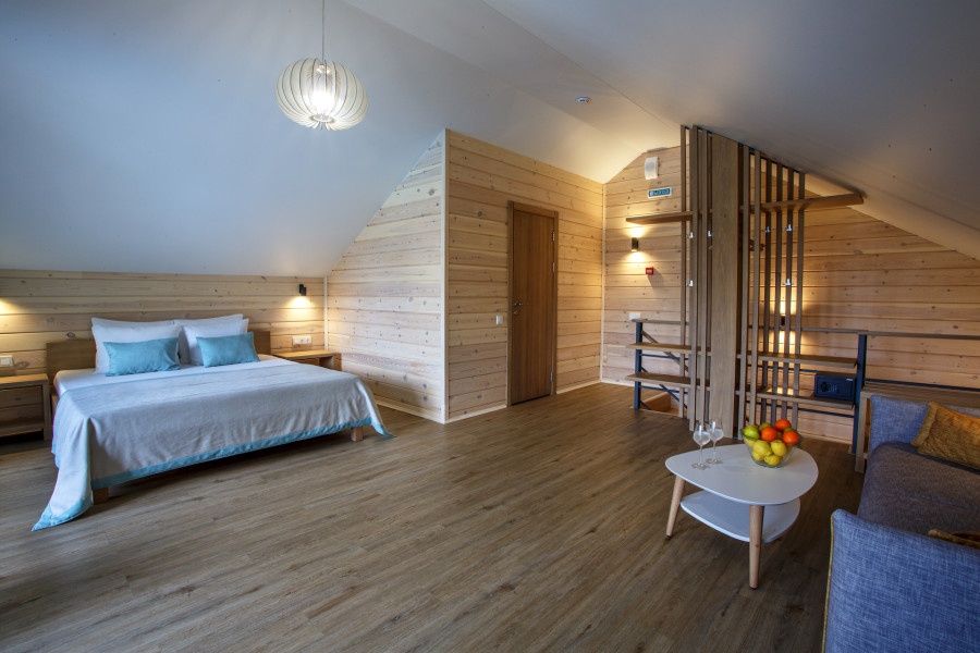 Сканди Авара - фото 4