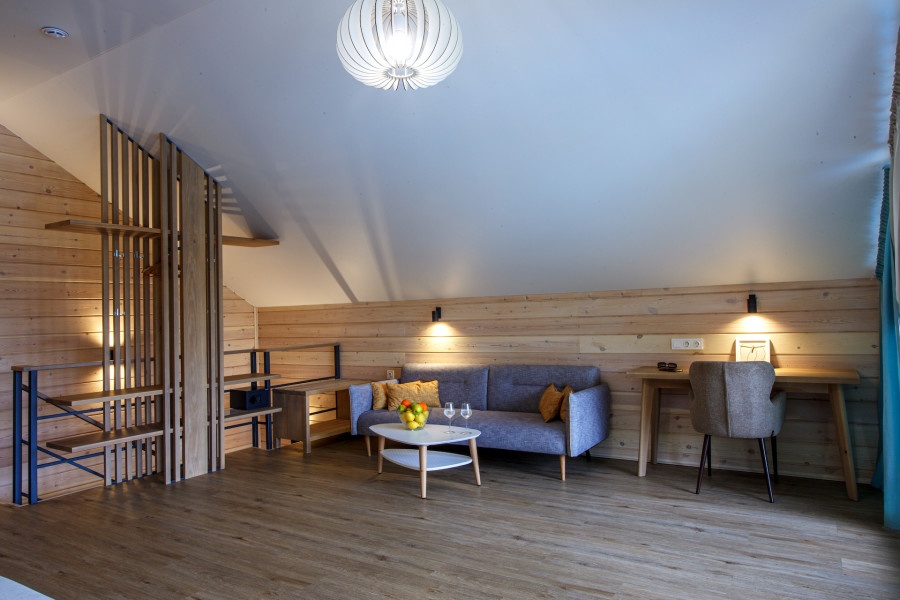 Сканди Авара - фото 5