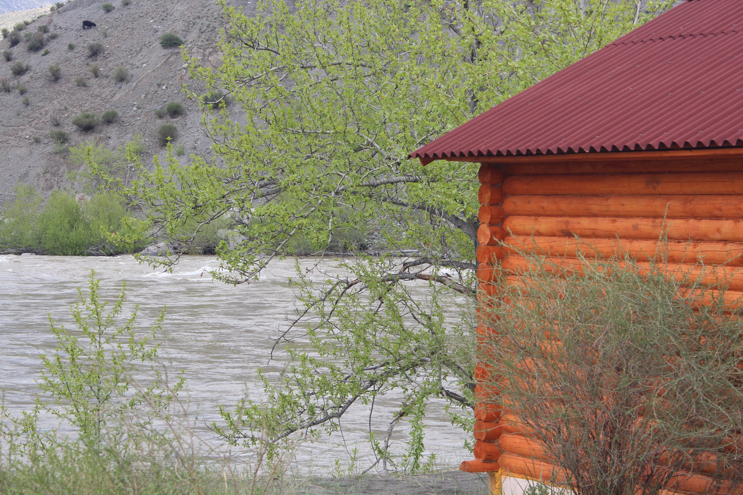 Яломан_camp - фото 18