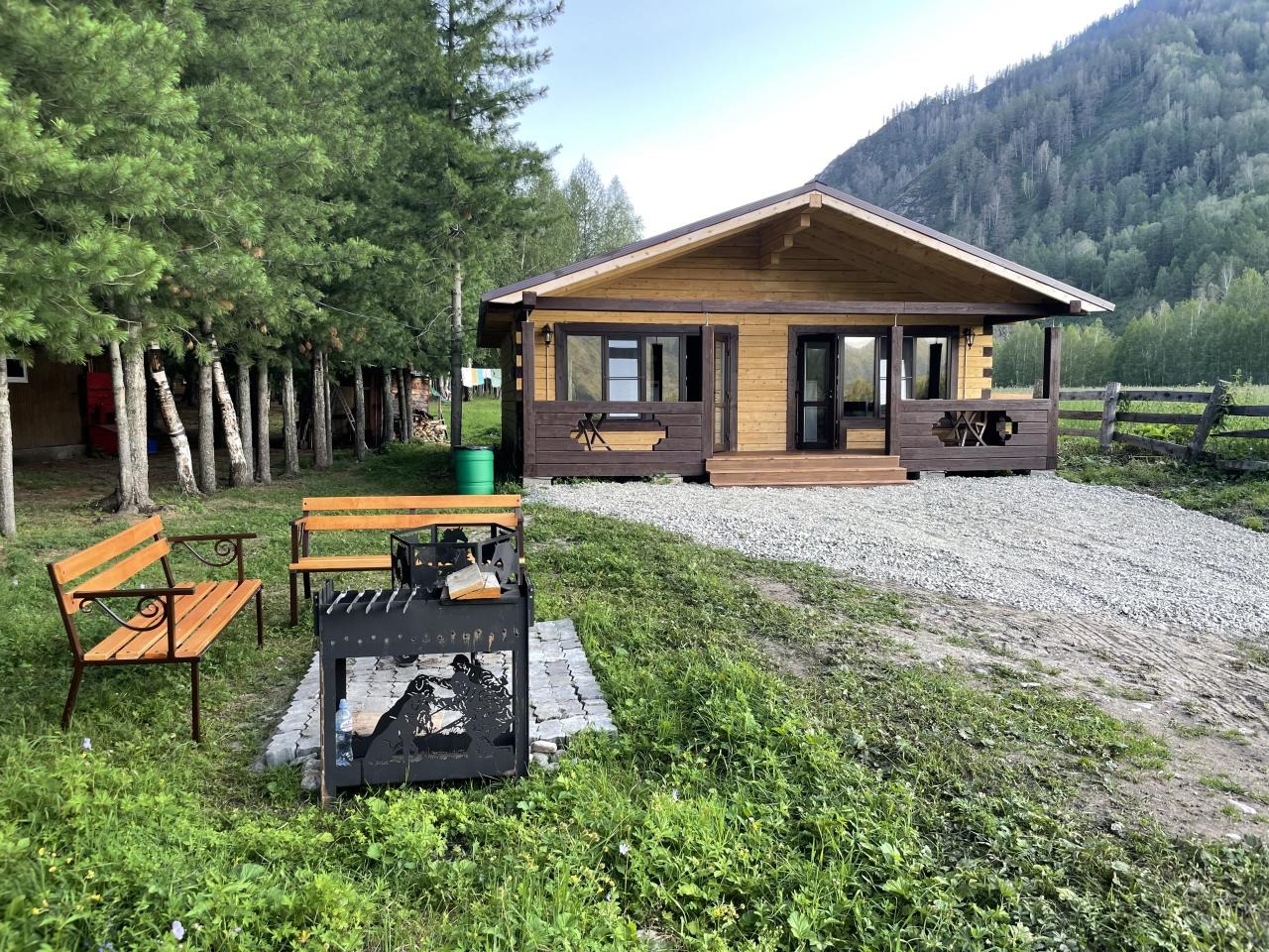 Кедровая роща - фото 2