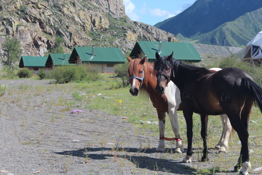 Тент-хаус - фото 4