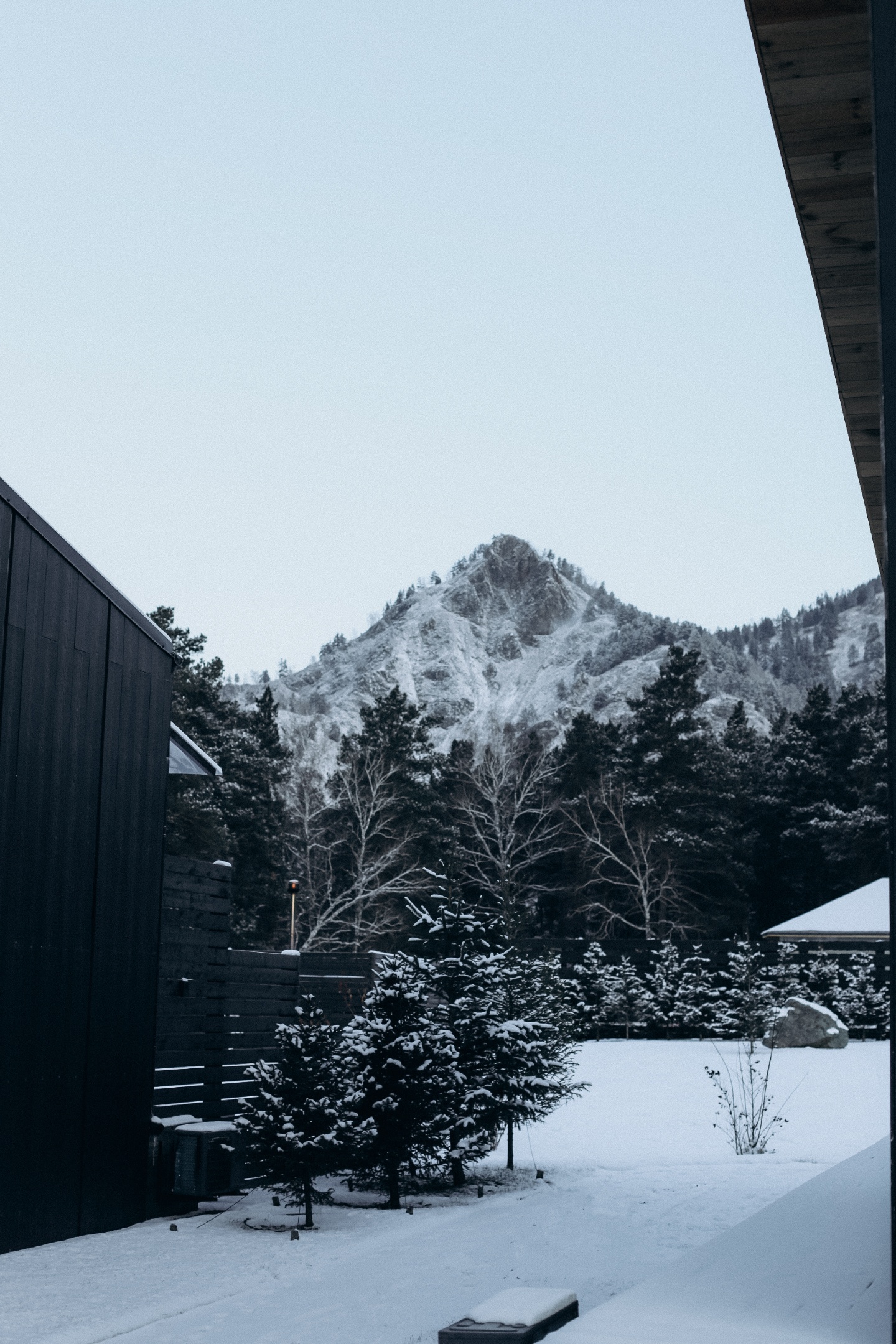 Альпака - фото 11