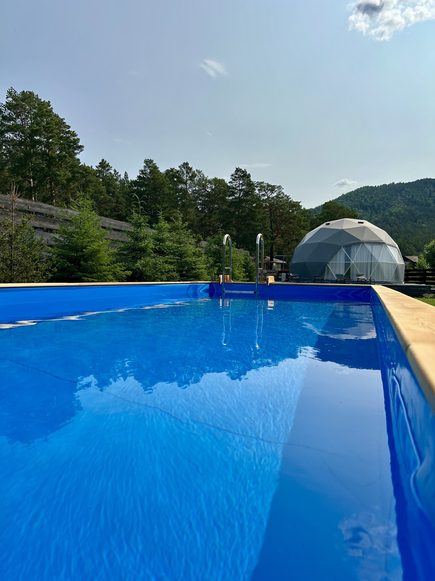 Альпака - фото 34