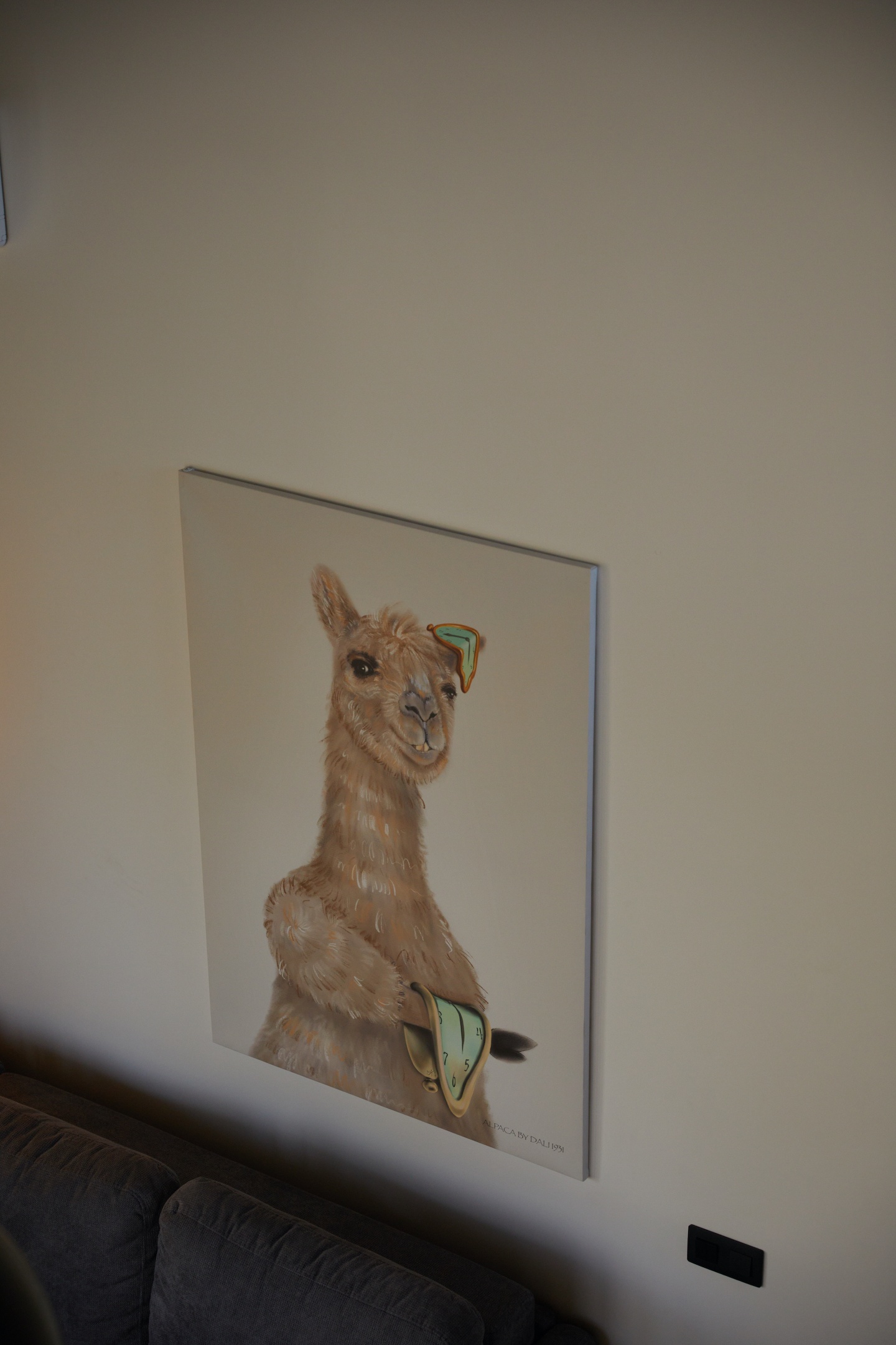 Альпака - фото 48