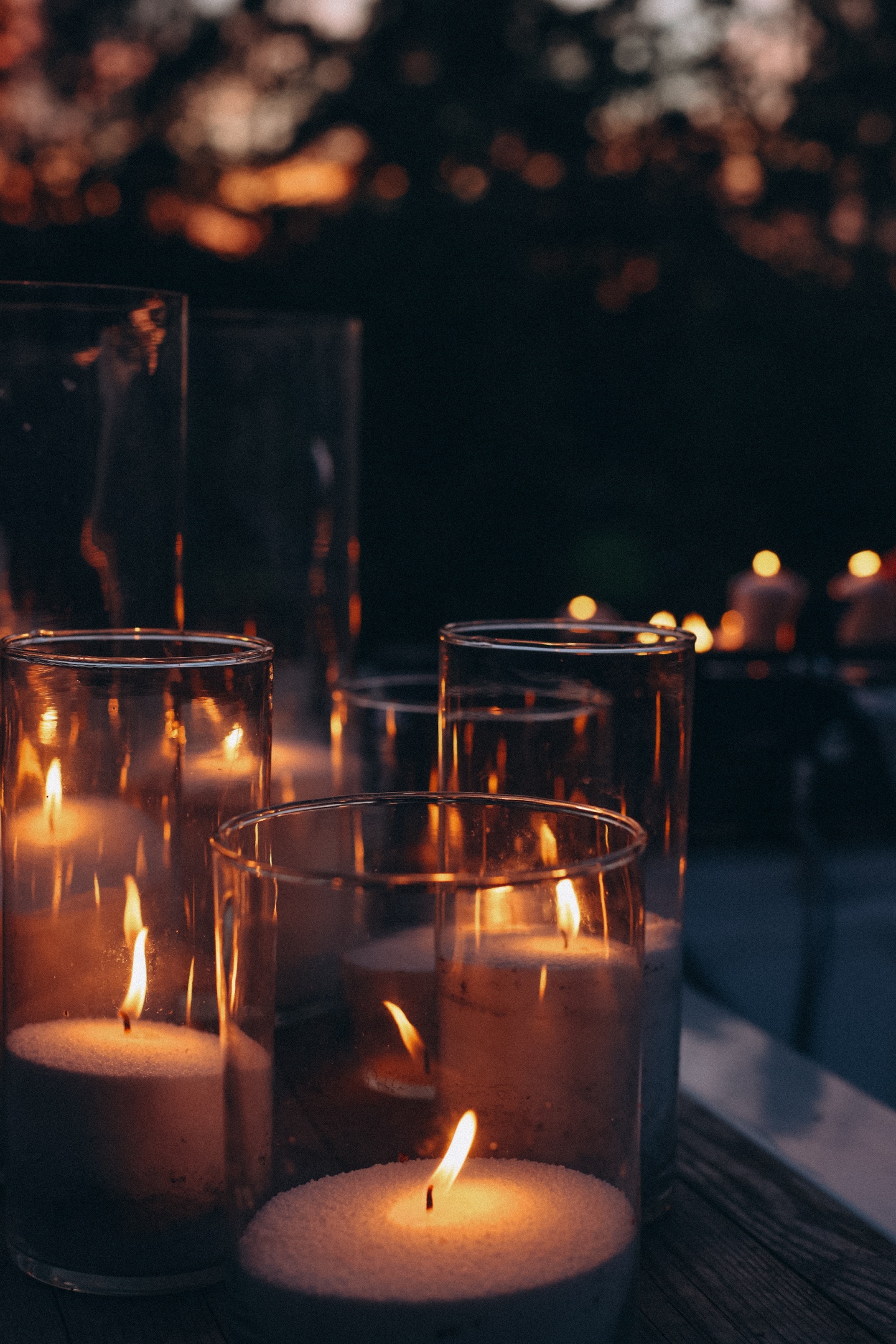 Альпака - фото 49