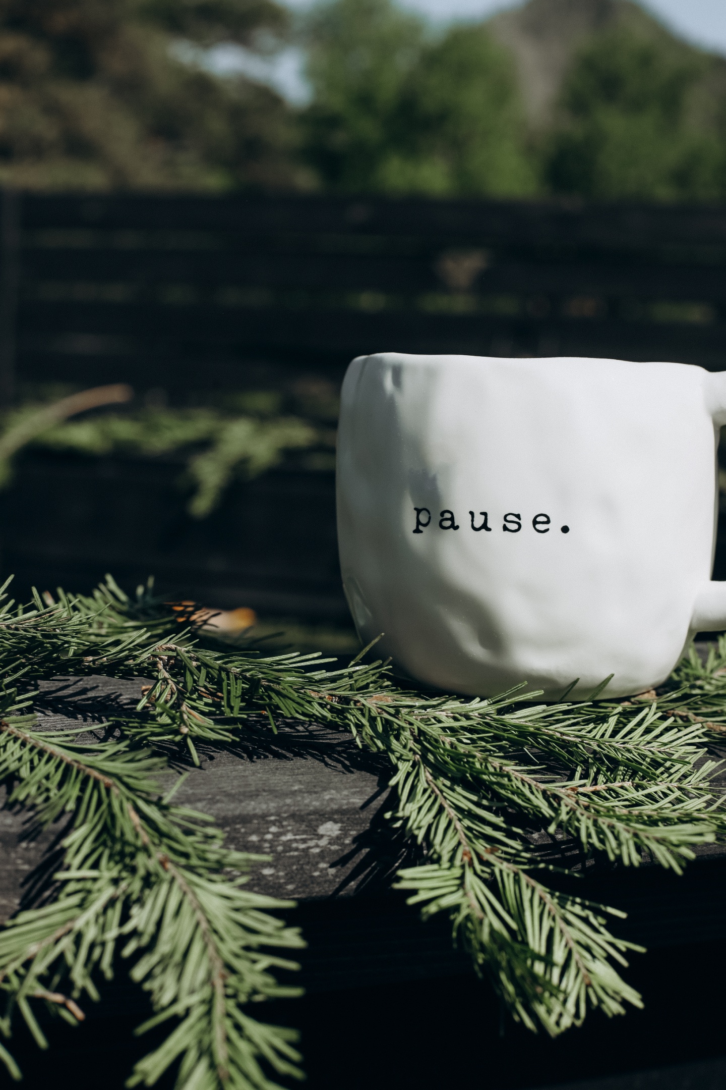 Альпака - фото 52