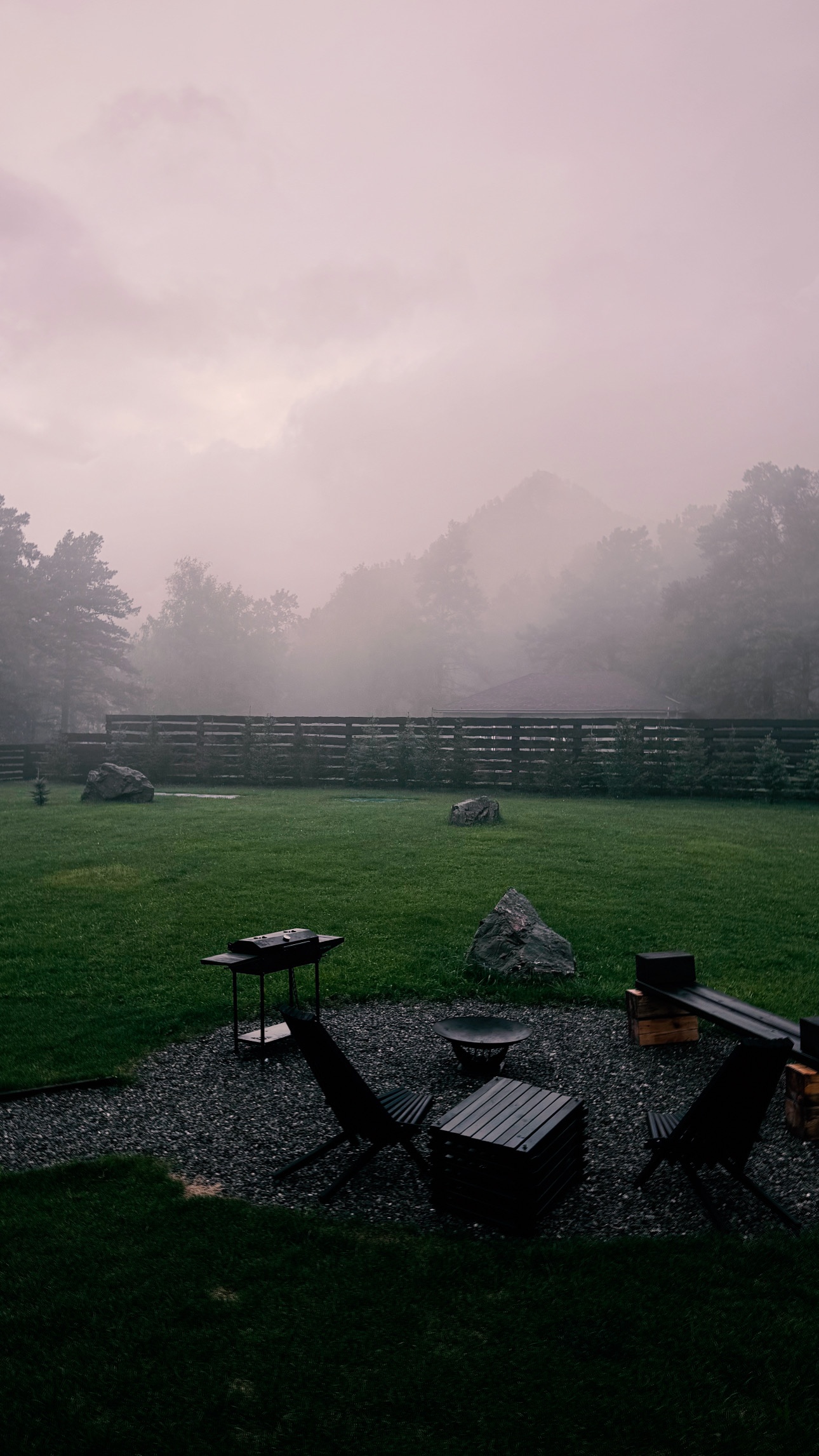 Альпака - фото 54