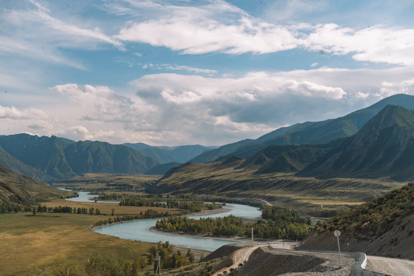 Альпака - фото 71