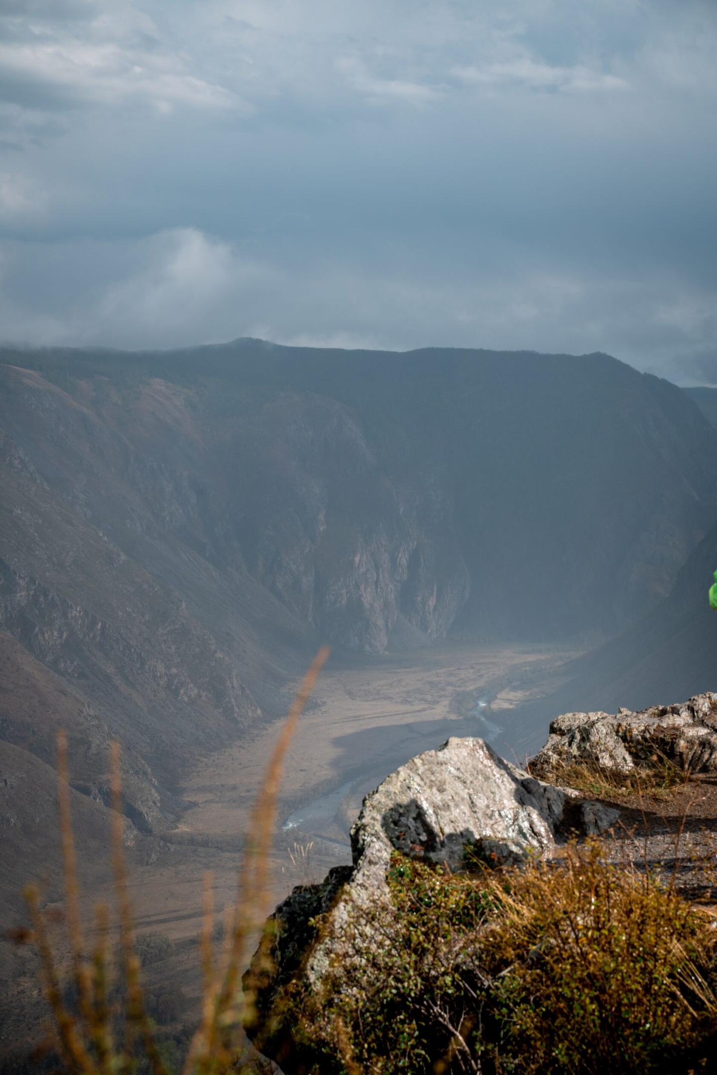 Альпака - фото 73