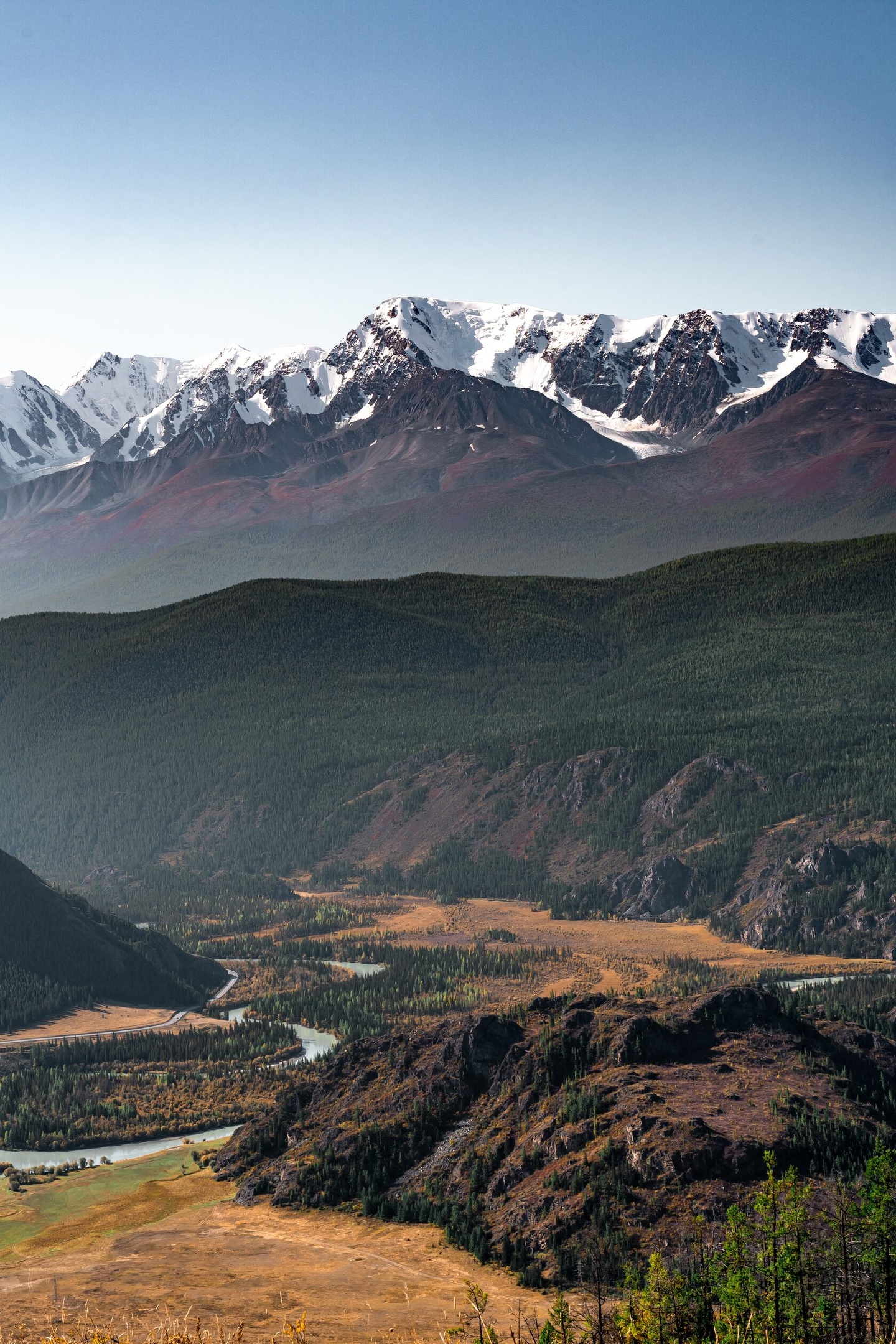 Альпака - фото 75