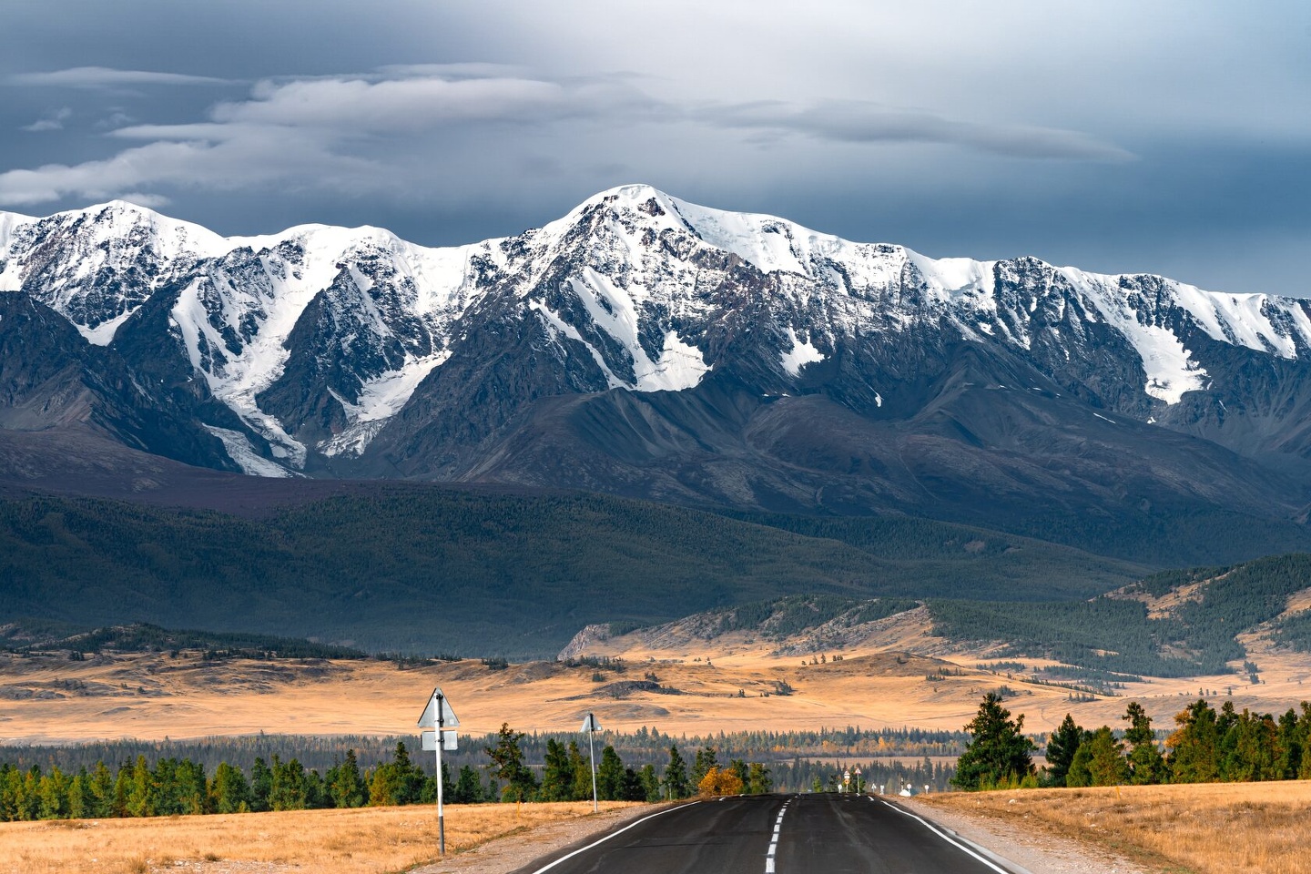 Альпака - фото 76