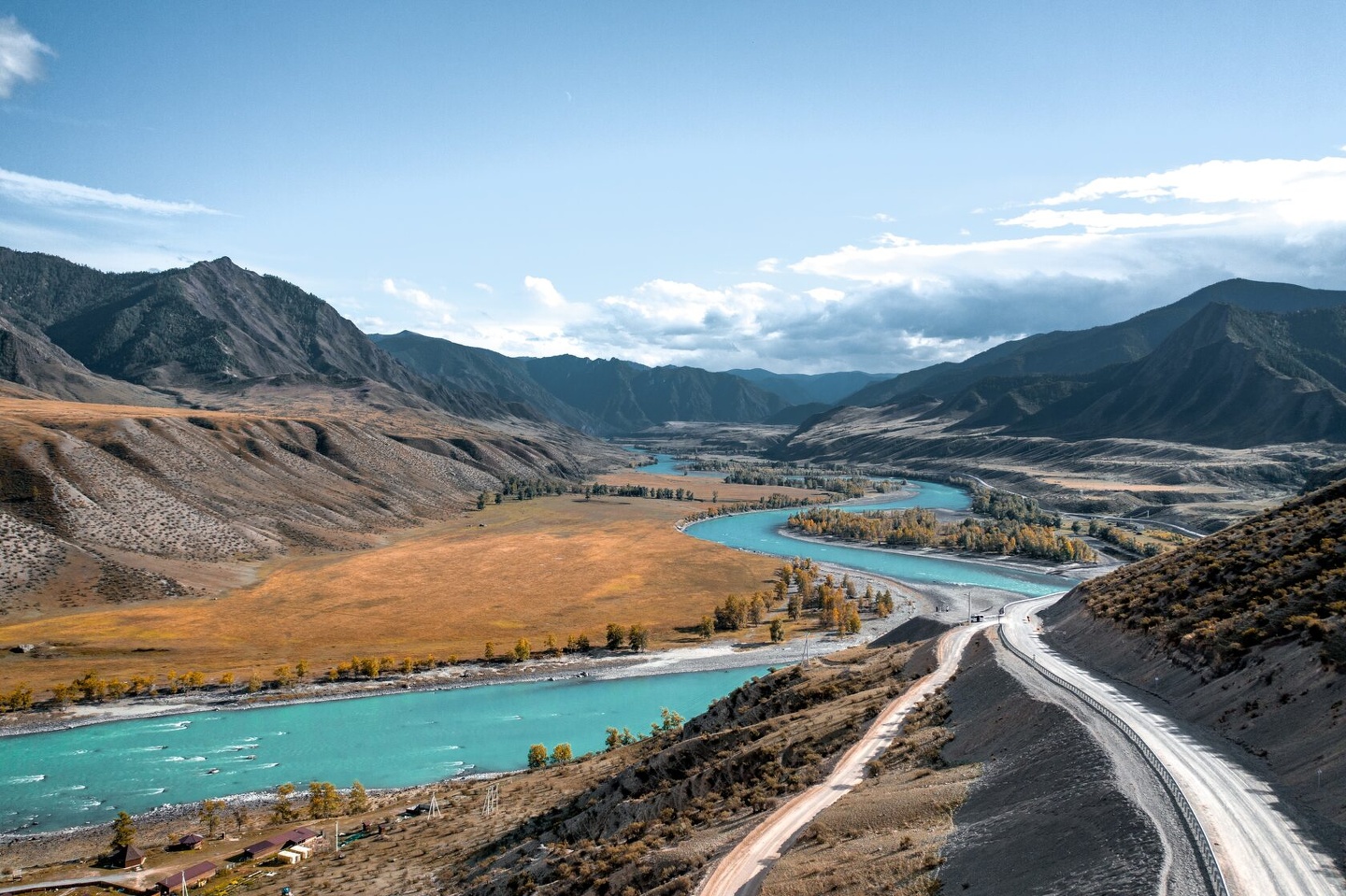 Альпака - фото 77