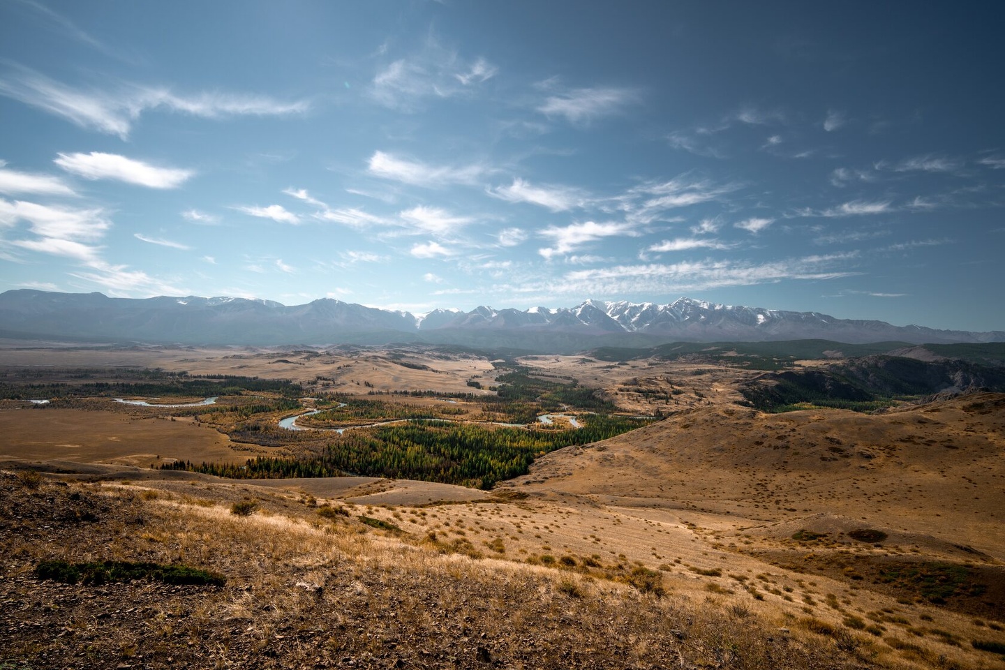 Альпака - фото 78