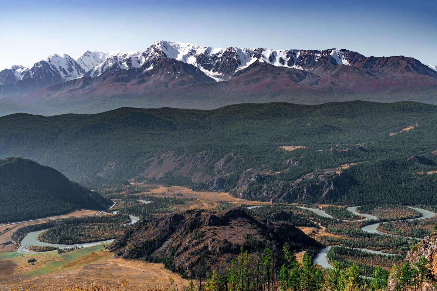 Альпака - фото 79