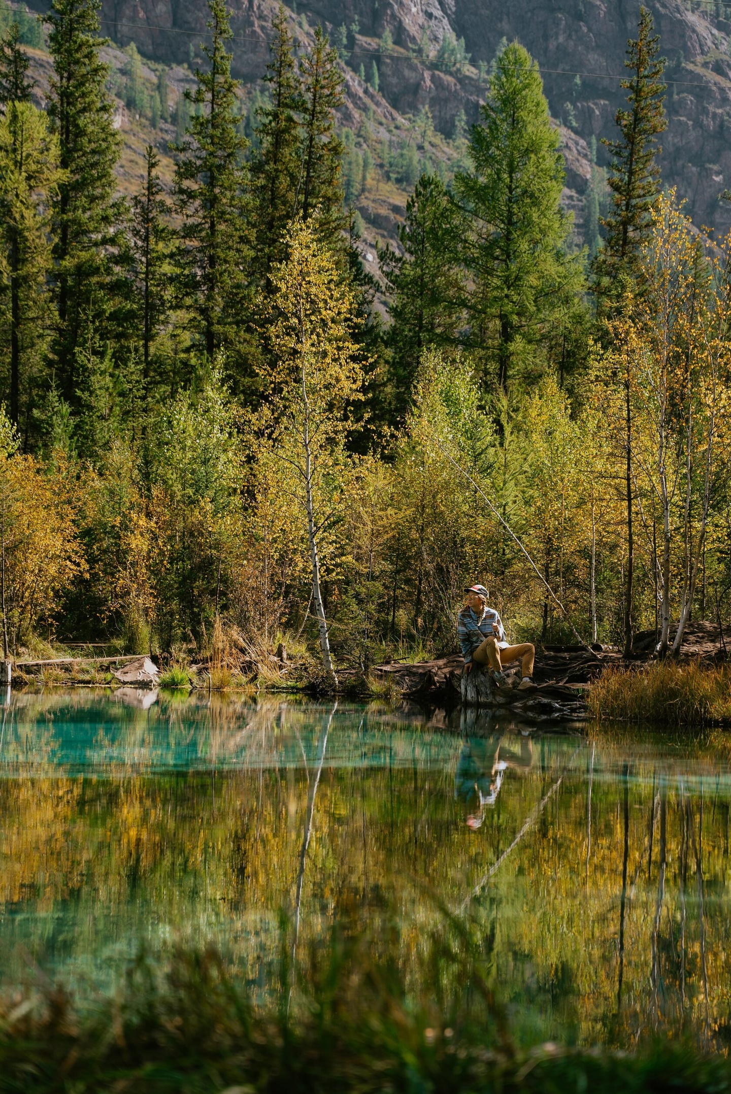 Альпака - фото 80