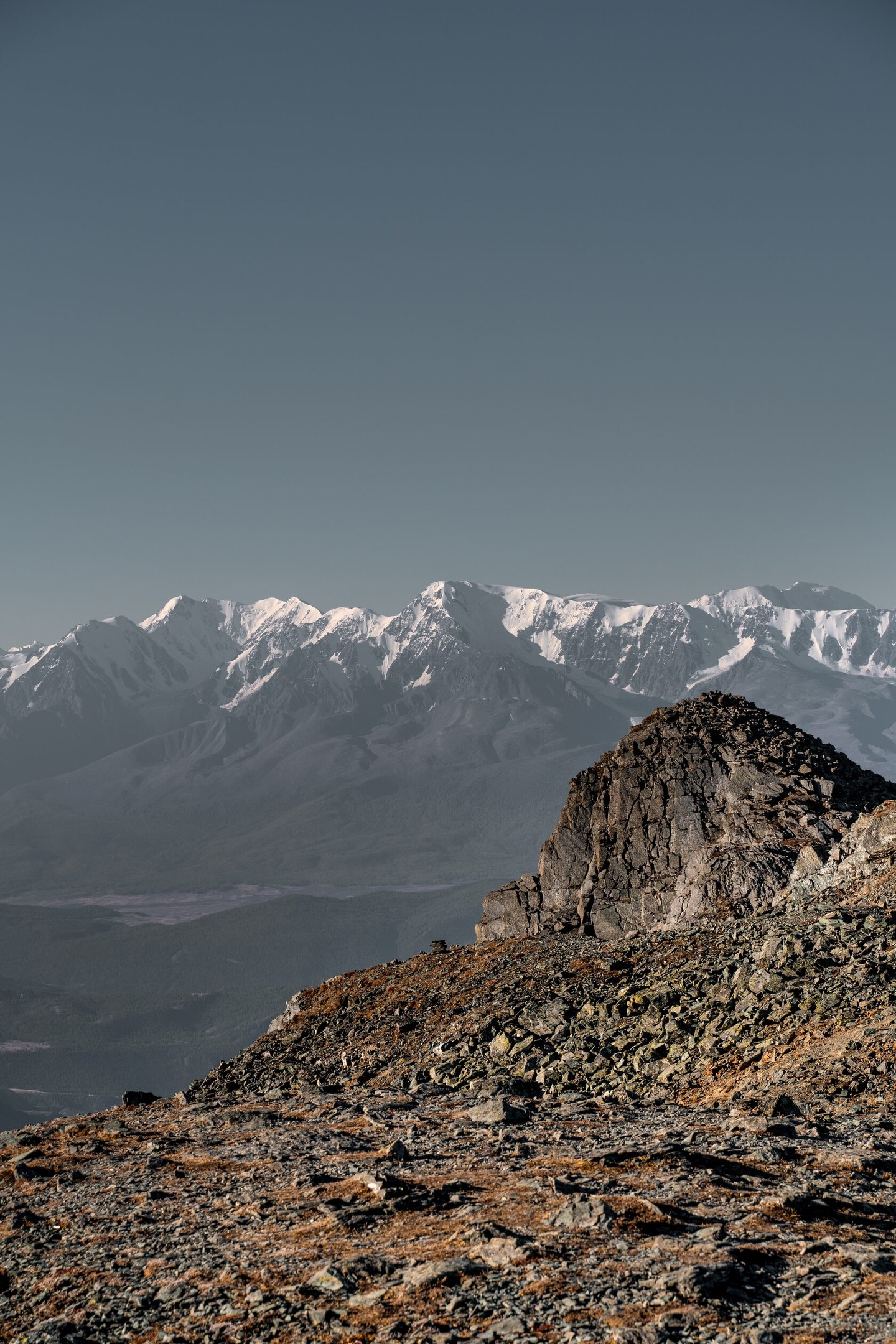 Альпака - фото 81