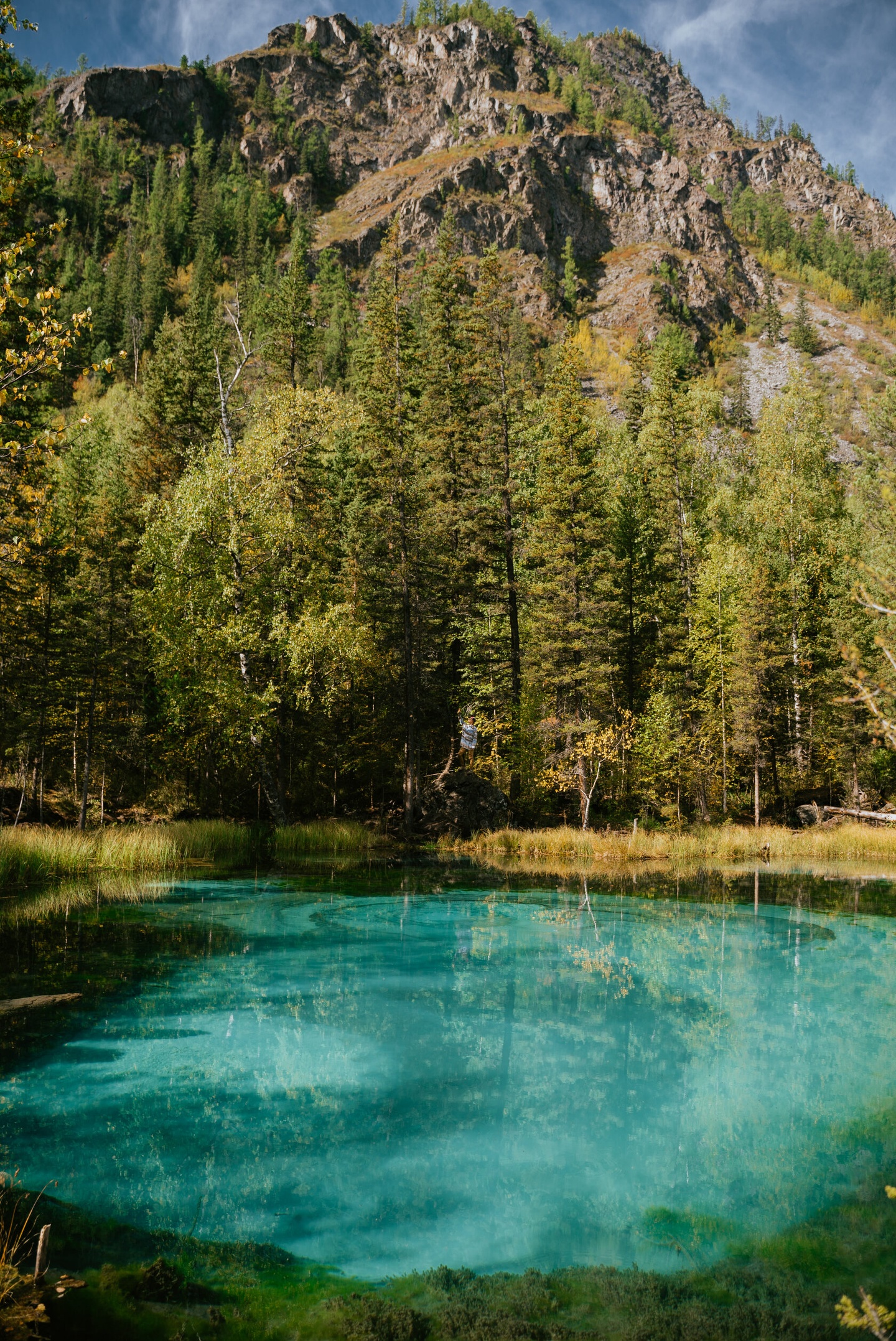 Альпака - фото 82