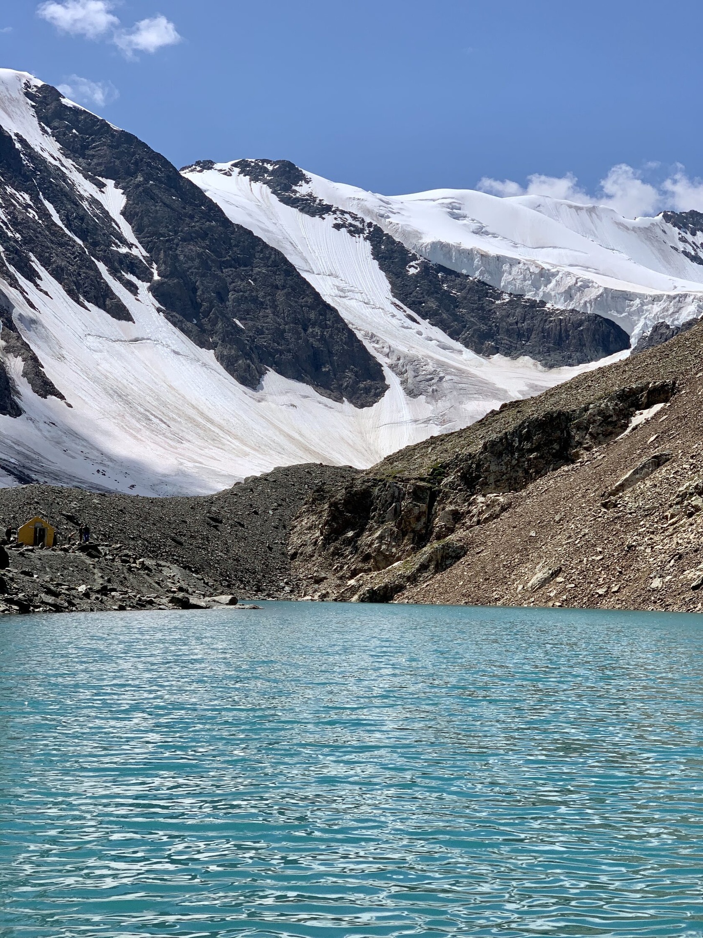 Альпака - фото 85