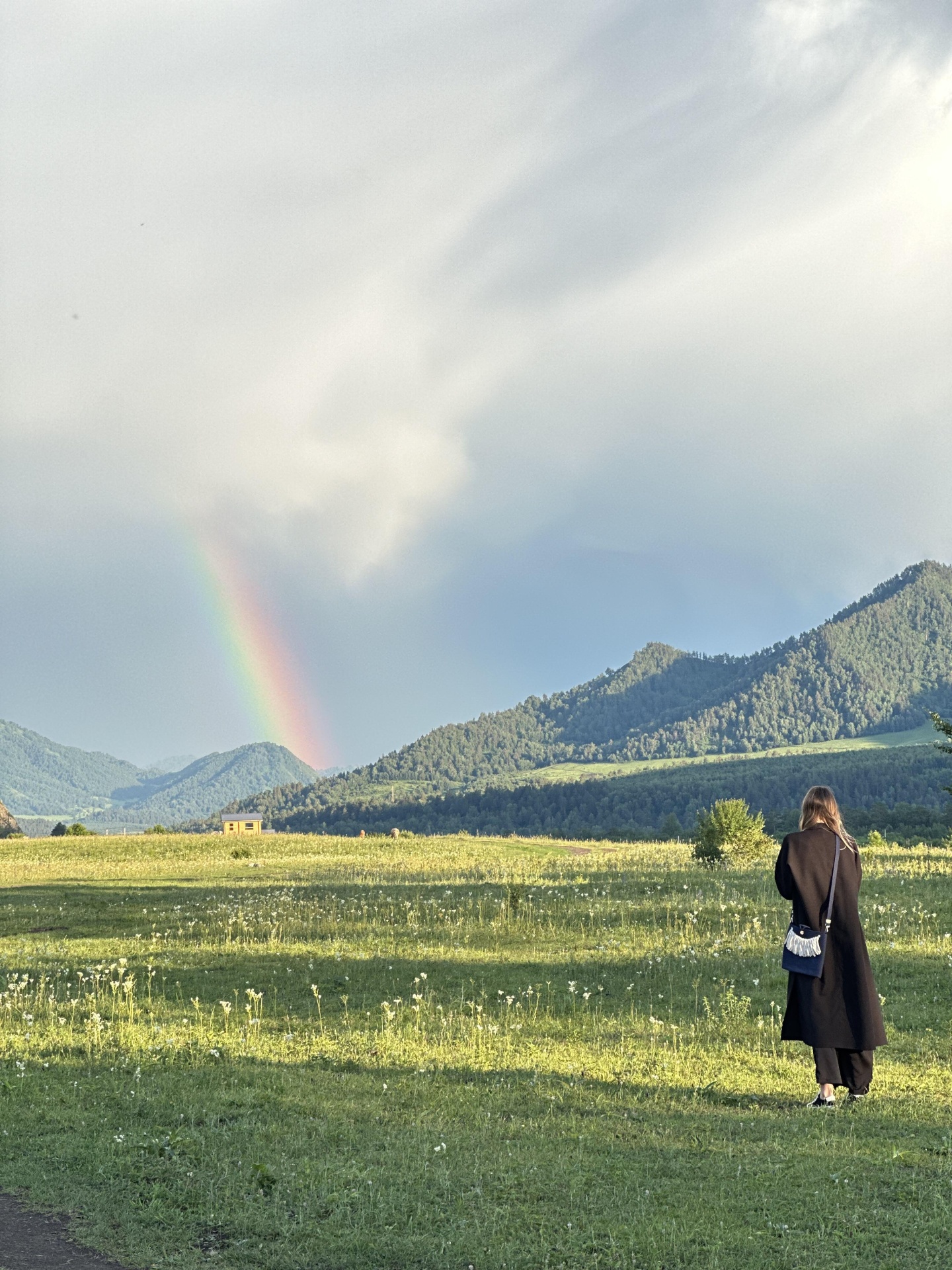 Альпака - фото 87