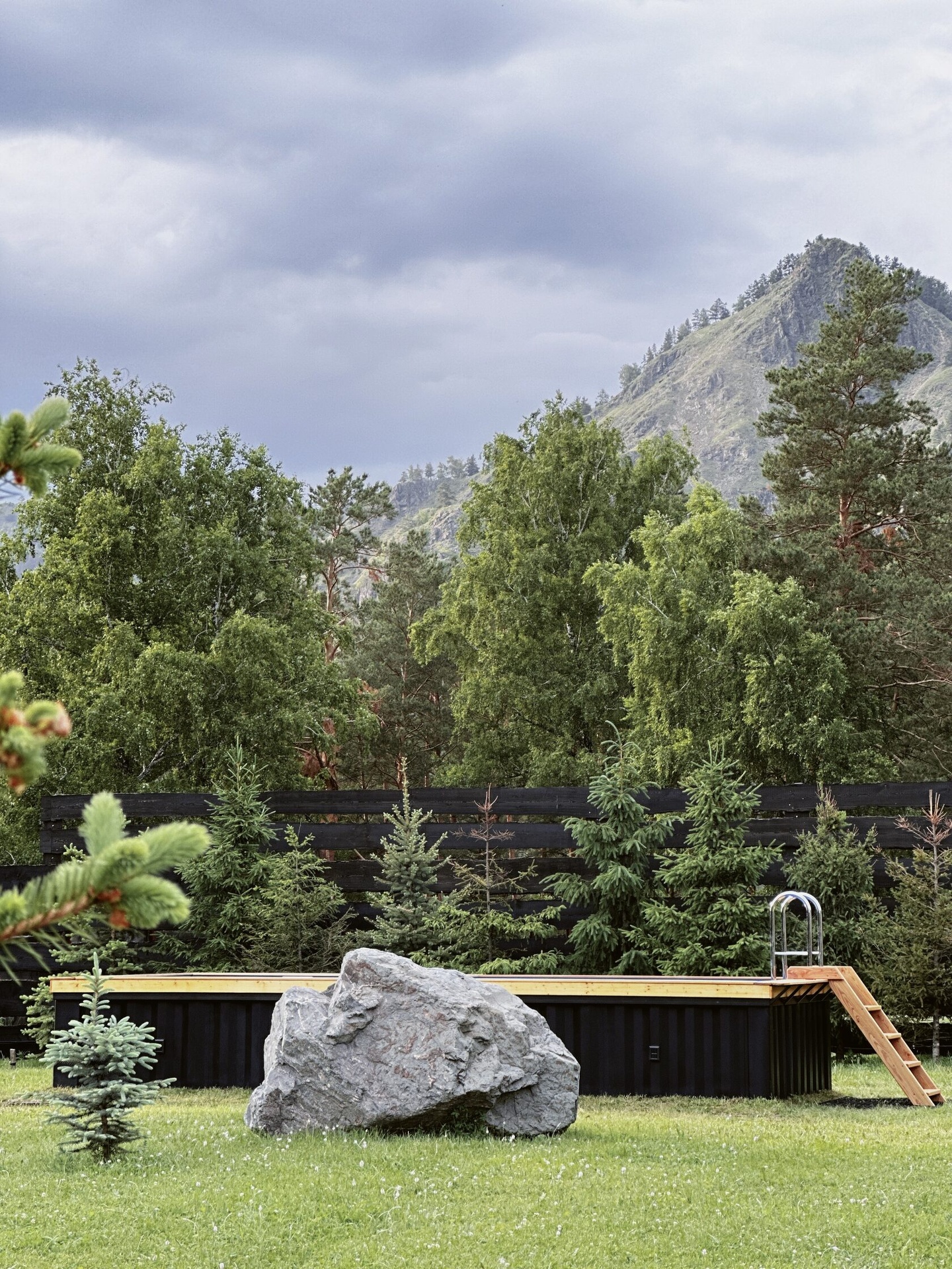 Альпака - фото 90