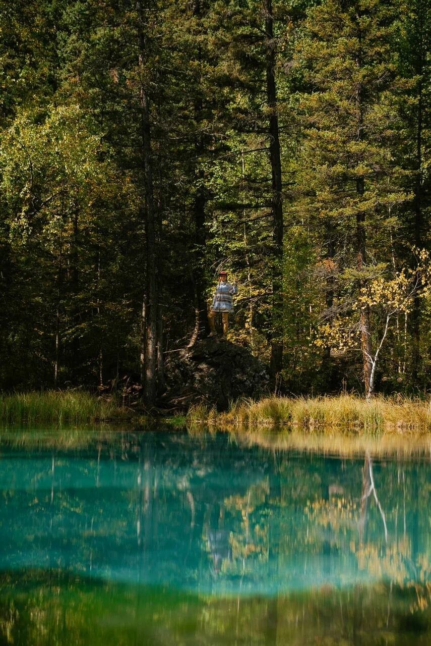 Альпака - фото 91