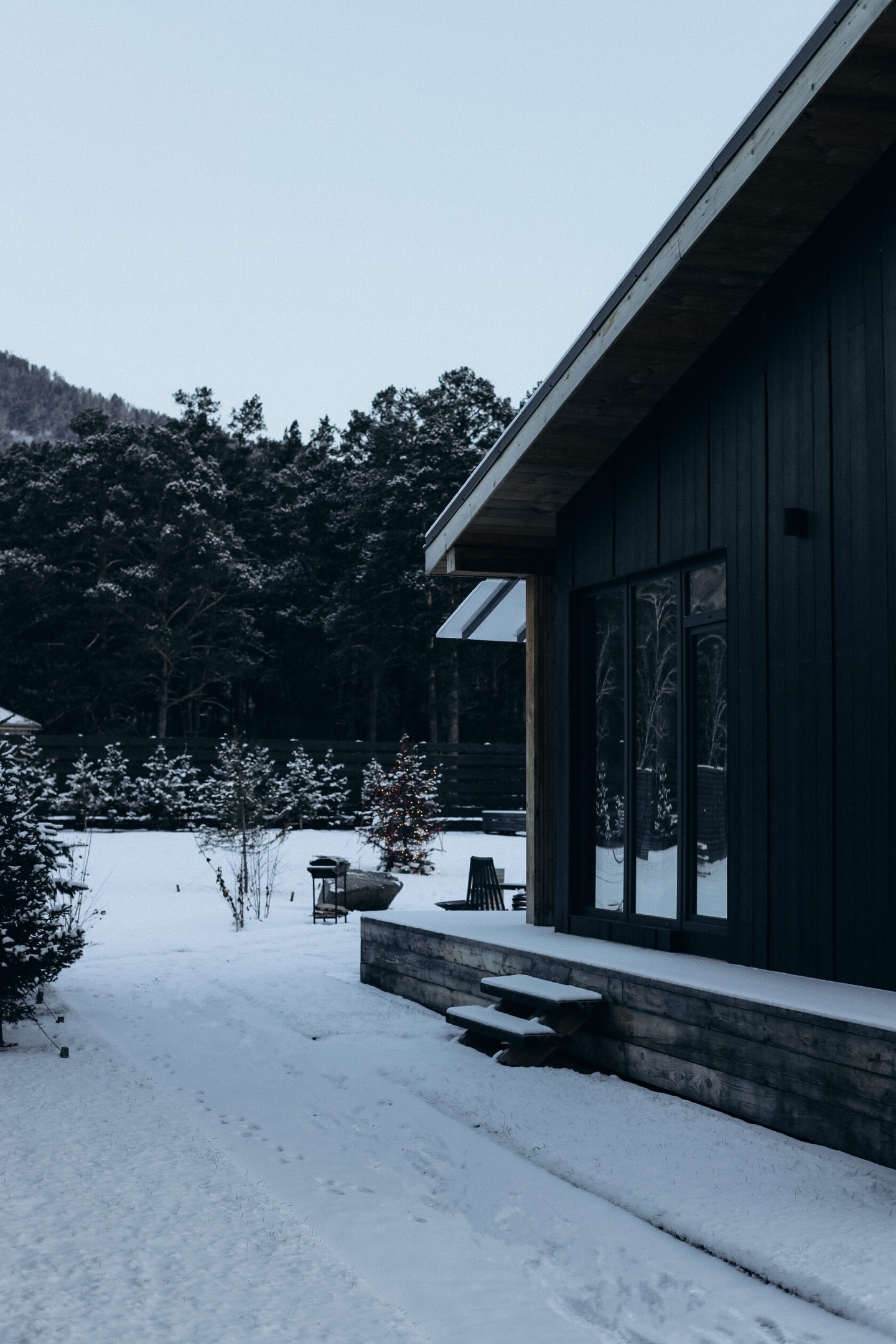 Альпака - фото 94