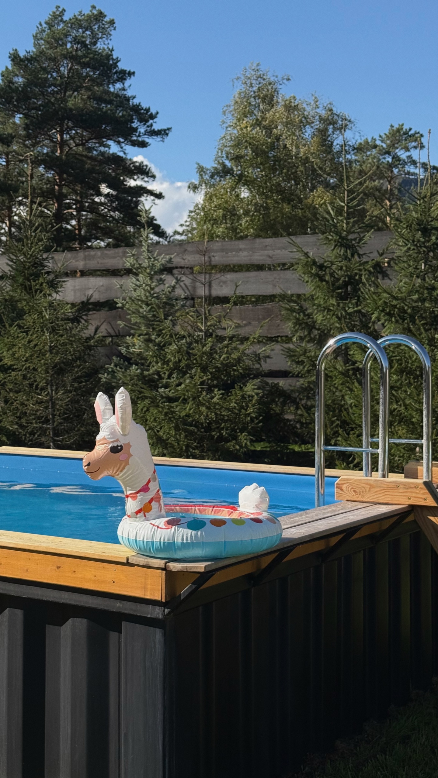 Альпака - фото 96